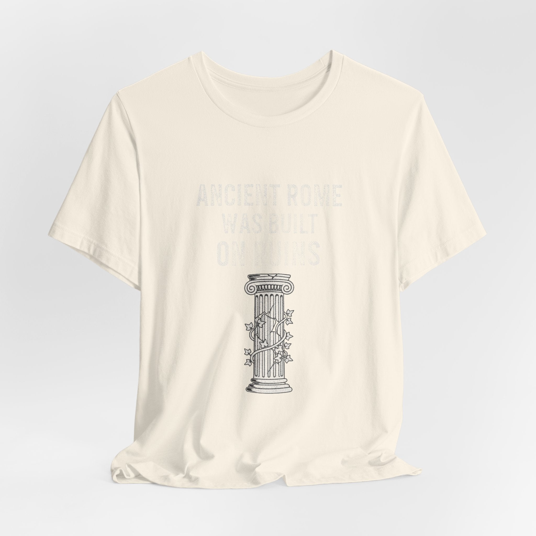 Ancient Rome Was Built On Premium Tee