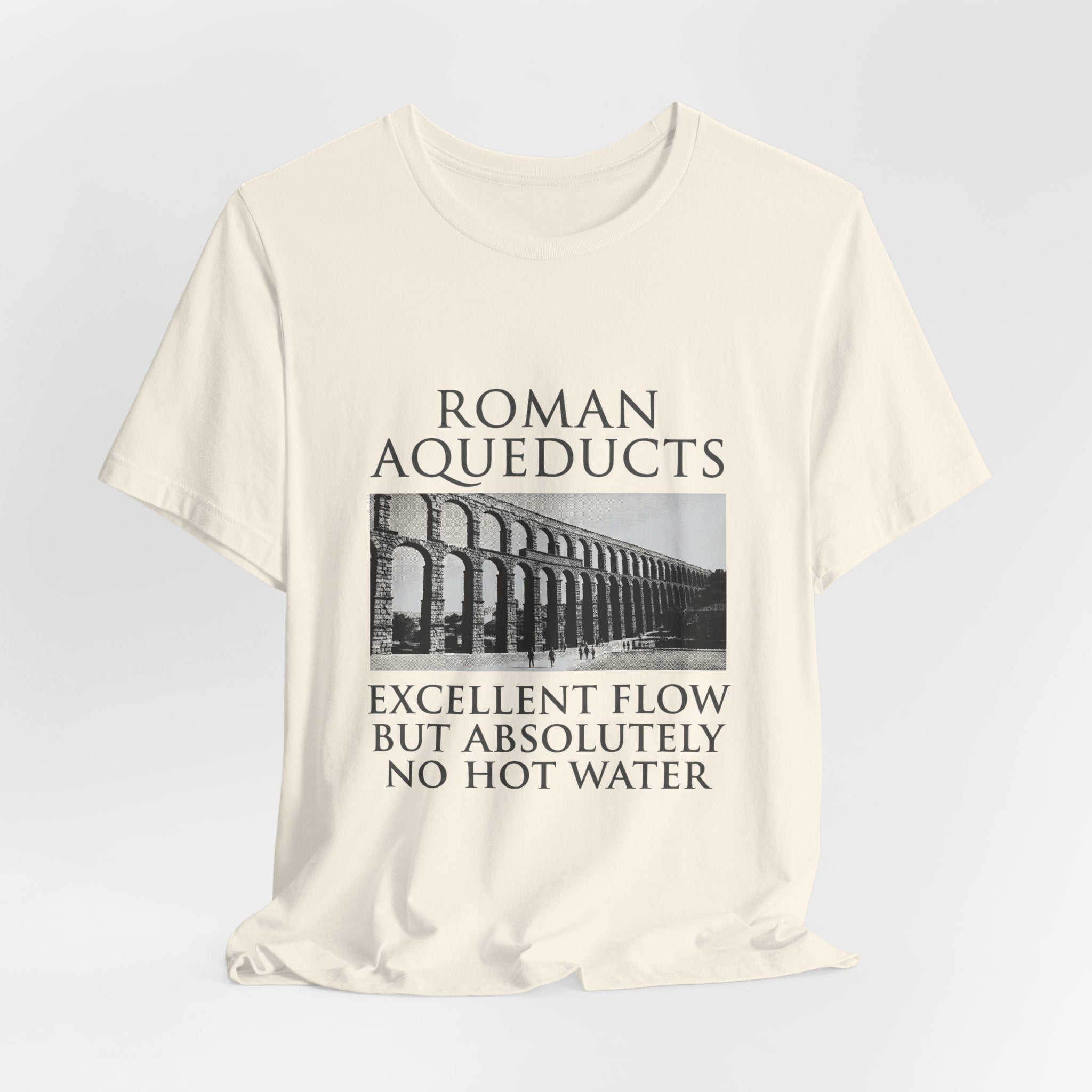 Roman Aqueducts Service Review Premium Tee
