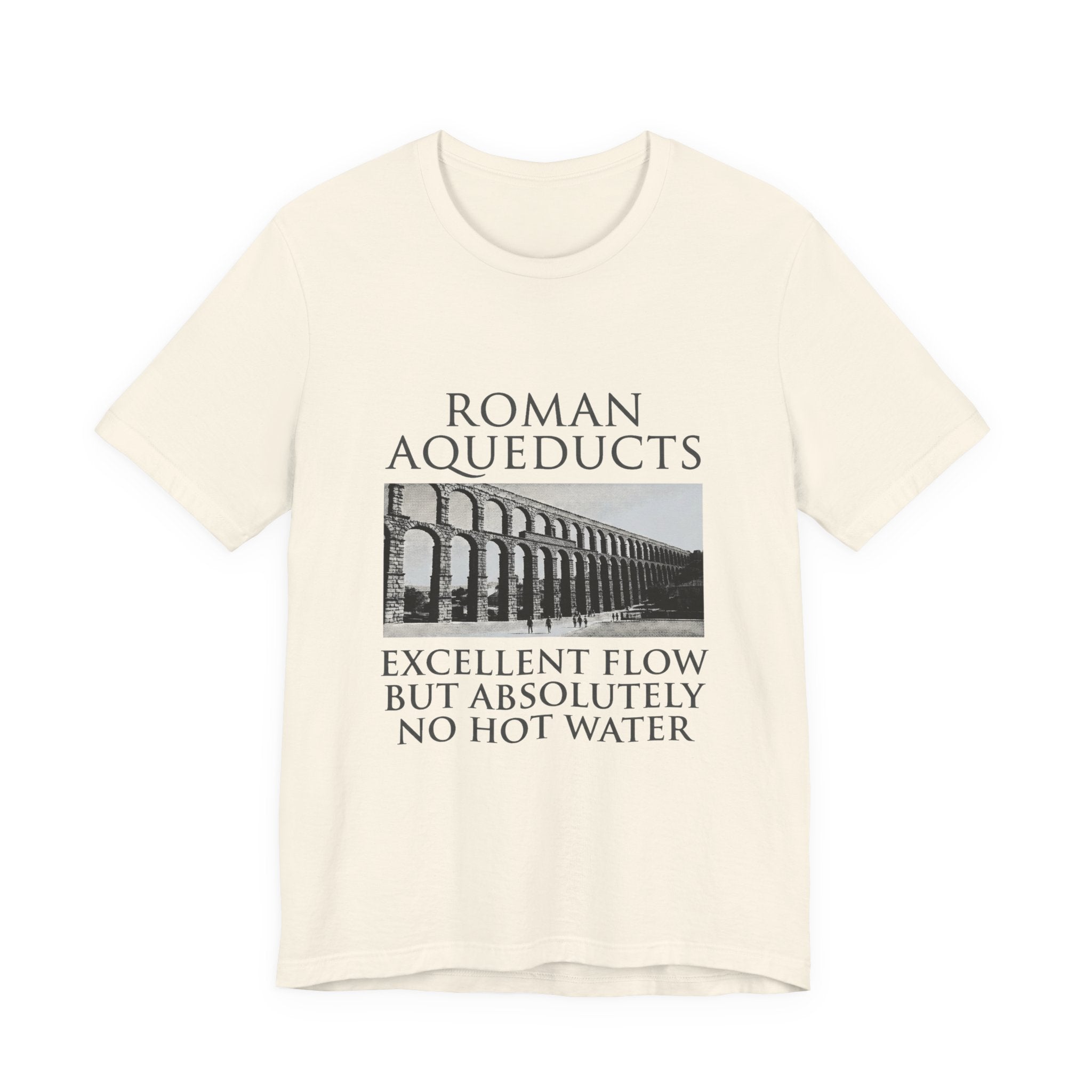 Roman Aqueducts Service Review Premium Tee