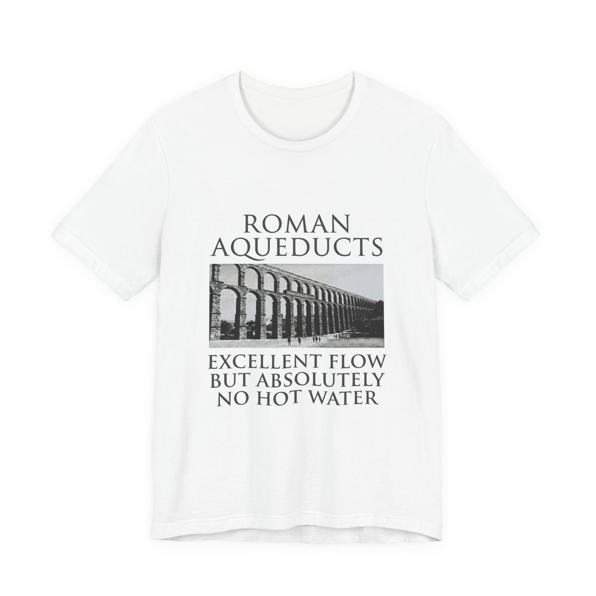 Roman Aqueducts Service Review Premium Tee