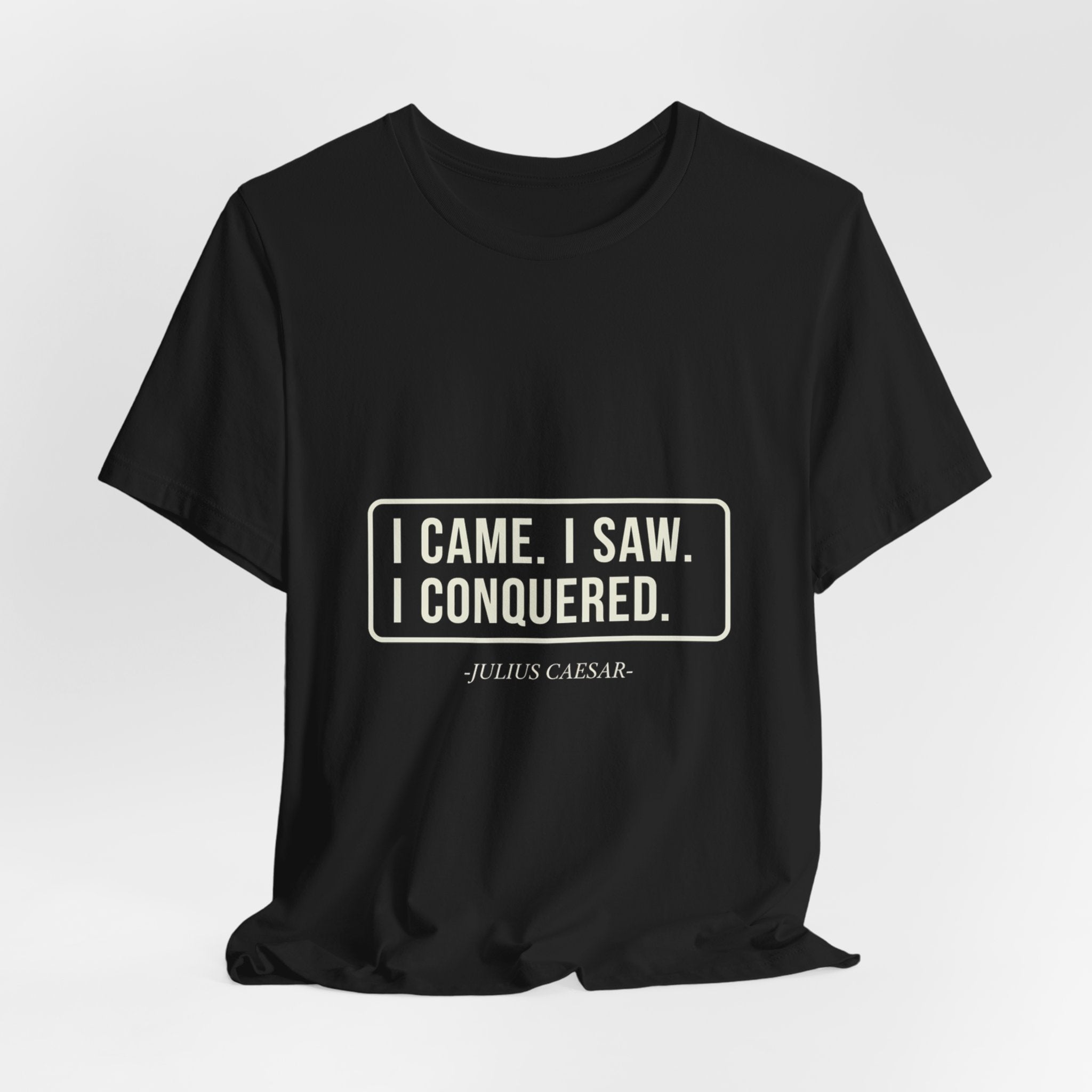 I Came I Saw I Premium Tee