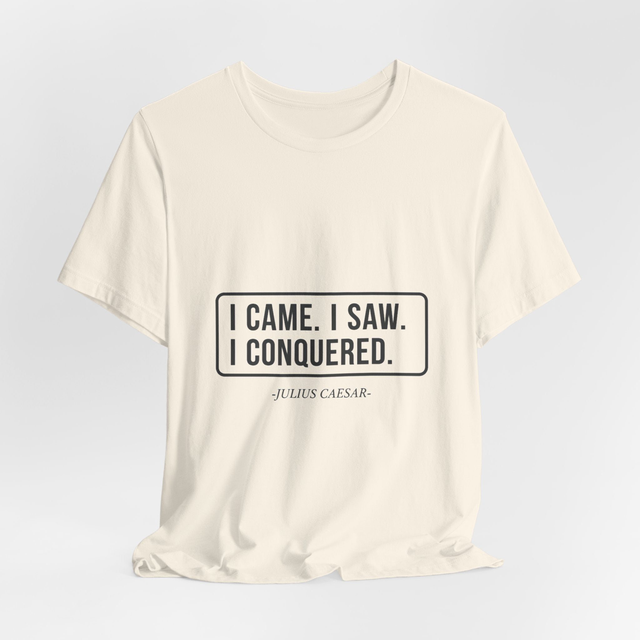 I Came I Saw I Premium Tee
