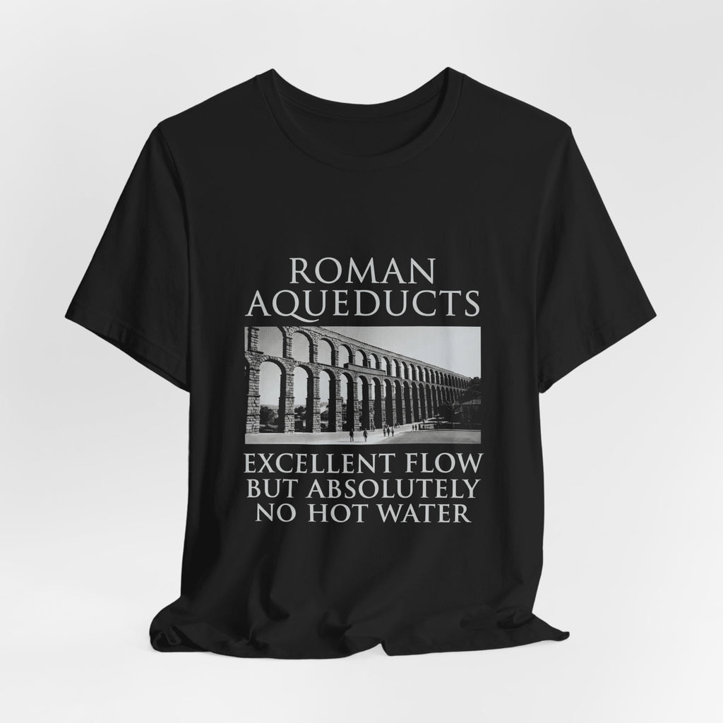 Roman Aqueducts Service Review Premium Tee