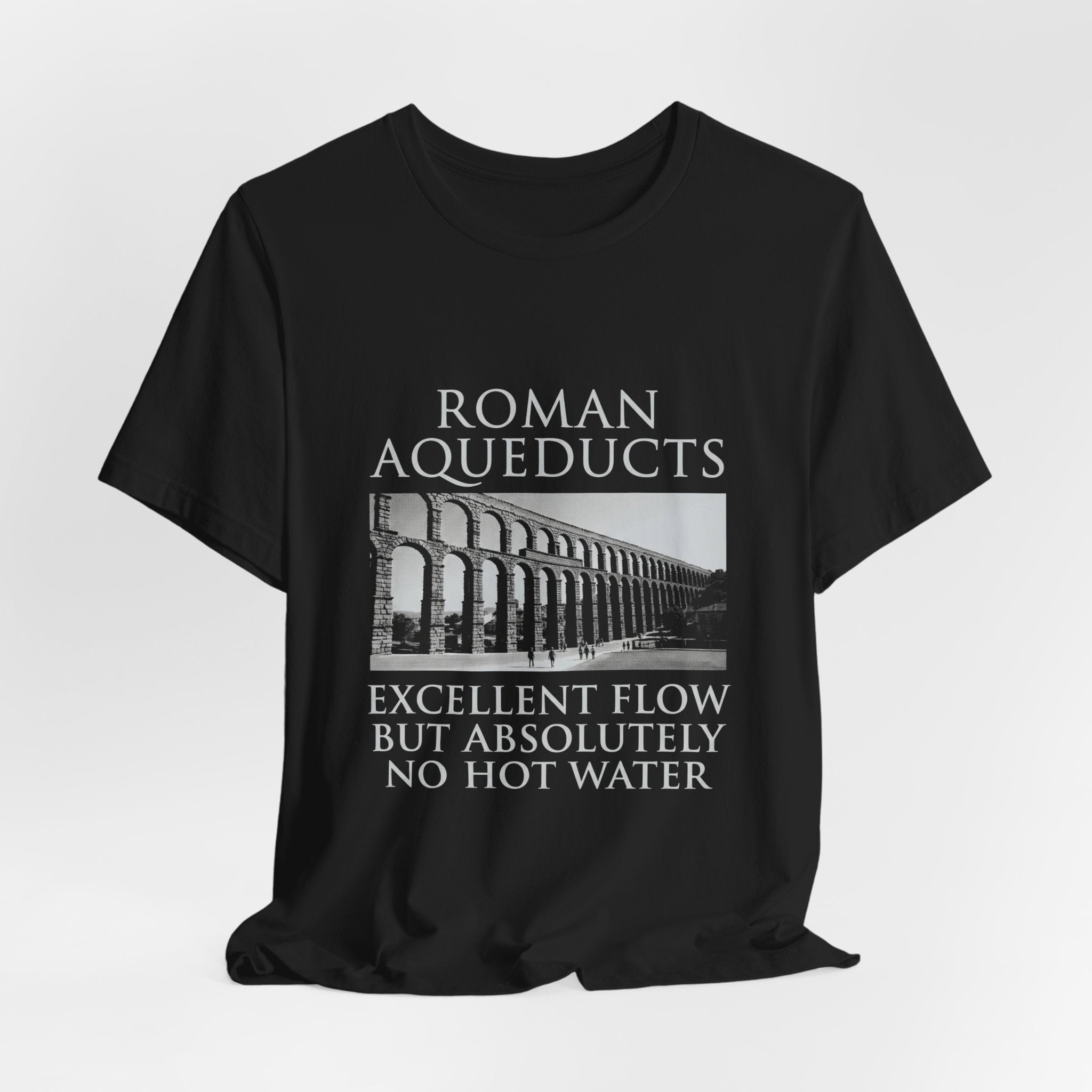 Roman Aqueducts Service Review Premium Tee