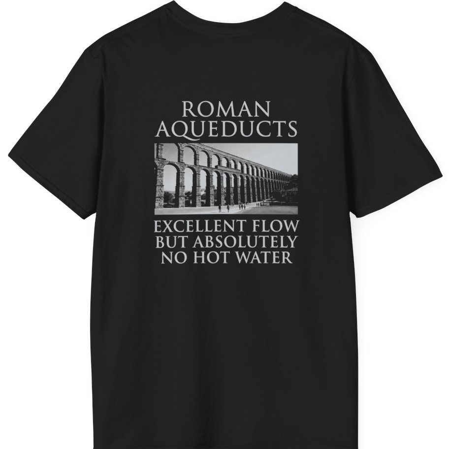 Roman Aqueducts Service Review Back Print T-Shirt - Black back