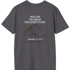 Boston The Great Molasses Flood Back Print T-Shirt - Charcoal back