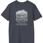 Pompeii Thermal Resort Back Print T-Shirt - Heather Navy back
