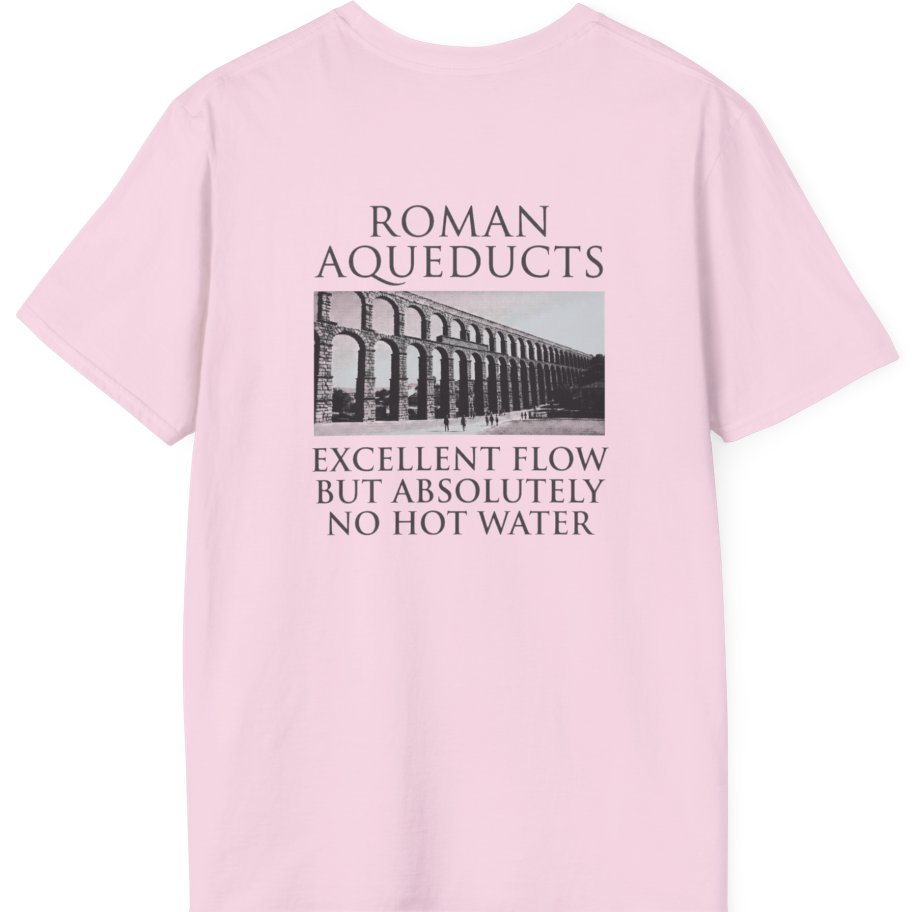 Roman Aqueducts Service Review Back Print T-Shirt - Light Pink back