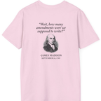 Madison Bill of Rights Deadline Back Print T-Shirt - Light Pink back