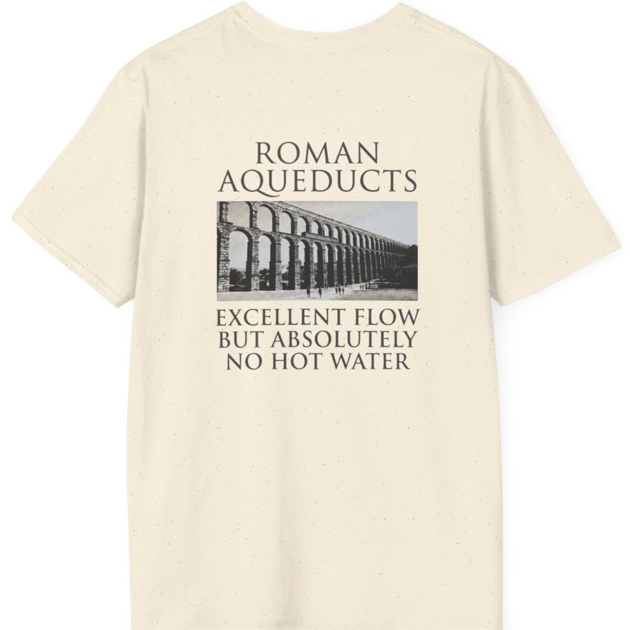 Roman Aqueducts Service Review Back Print T-Shirt - Natural back