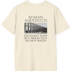 Roman Aqueducts Service Review Back Print T-Shirt - Natural back