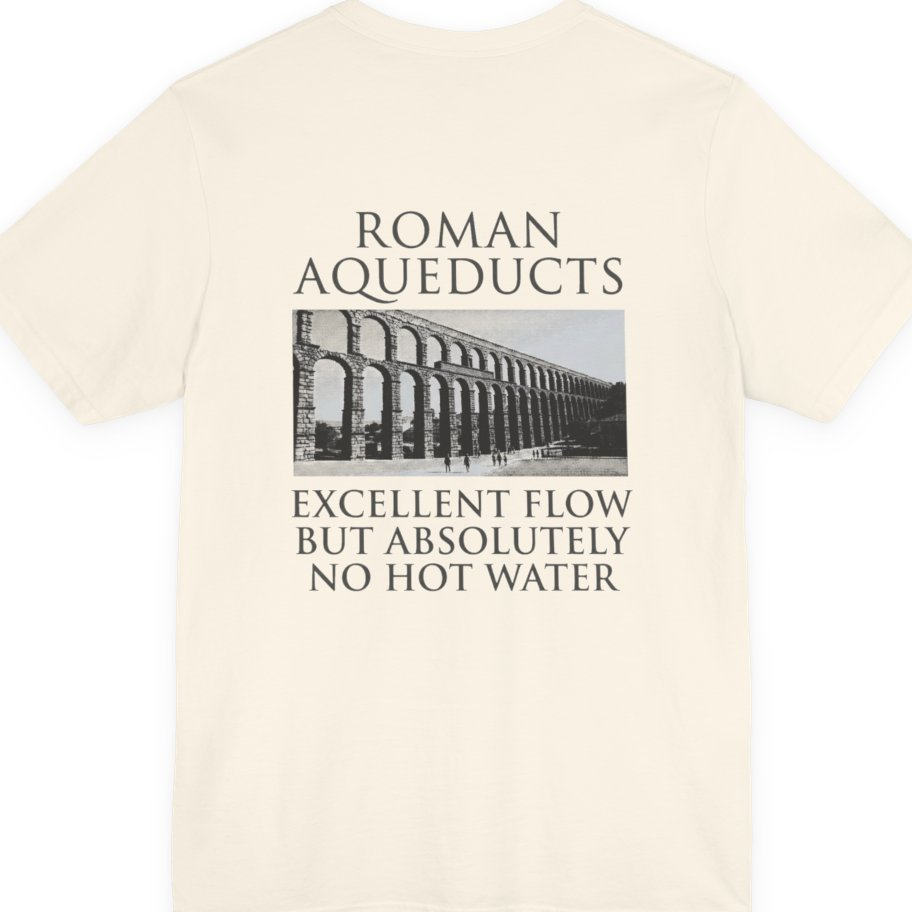 Roman Aqueducts Service Review Back Print Premium Tee - Natural back