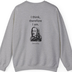 Cogito Ergo Sum Back Print Sweatshirt - Sport Grey back