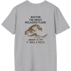 Boston The Great Molasses Flood Back Print T-Shirt - Sport Grey back