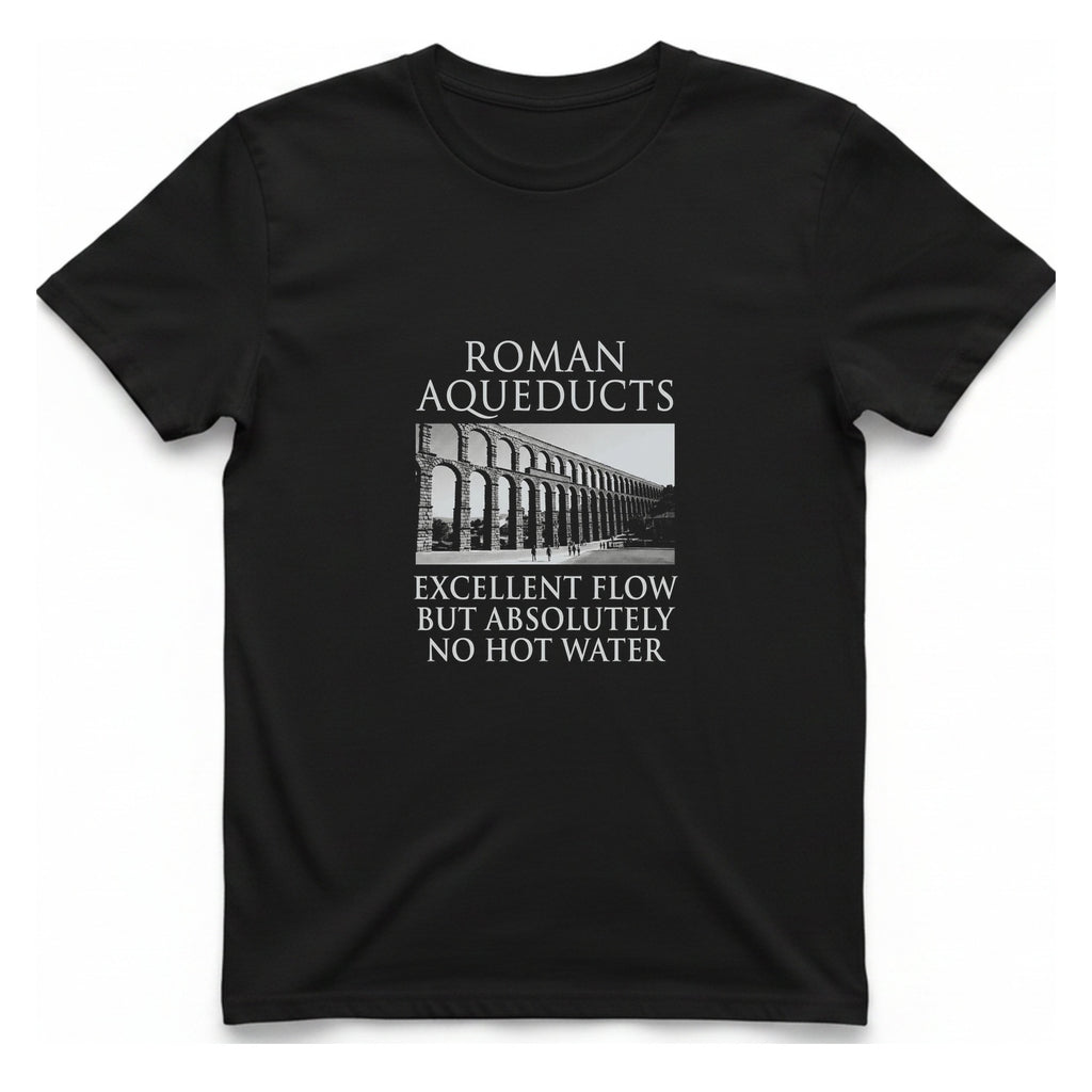 Roman Aqueducts Service Review T-Shirt - Black front