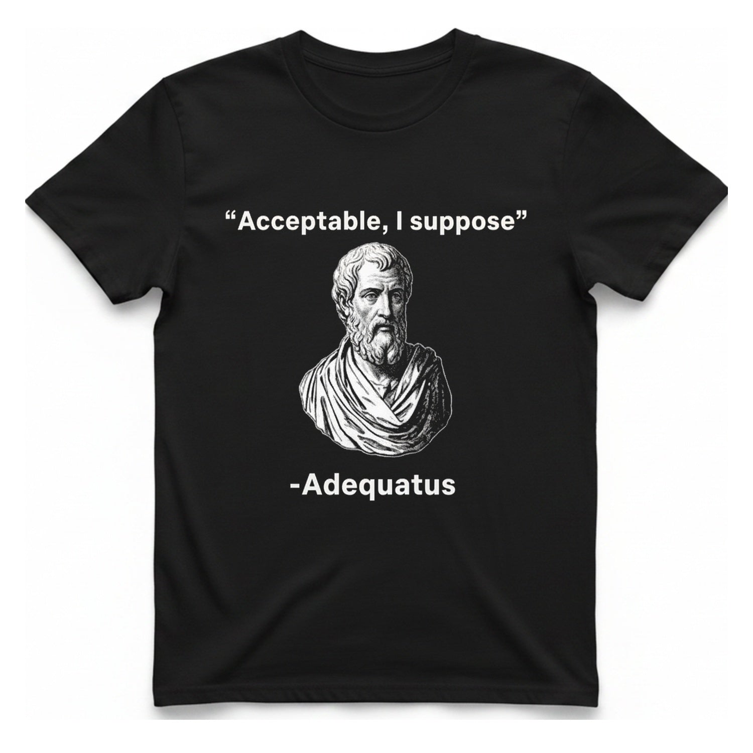 Acceptable I Suppose T-Shirt - Black front