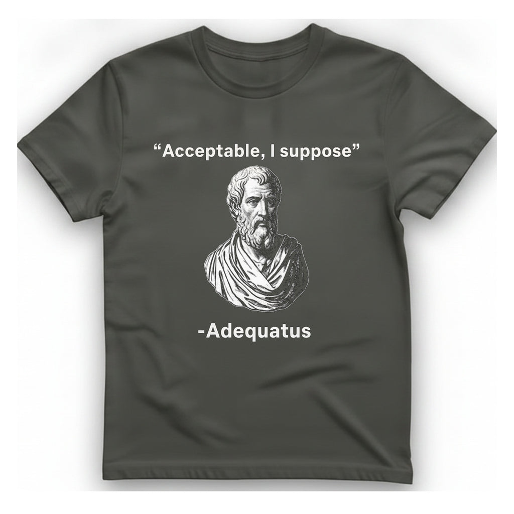 Acceptable I Suppose T-Shirt - Charcoal front