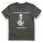 Acceptable I Suppose T-Shirt - Charcoal front