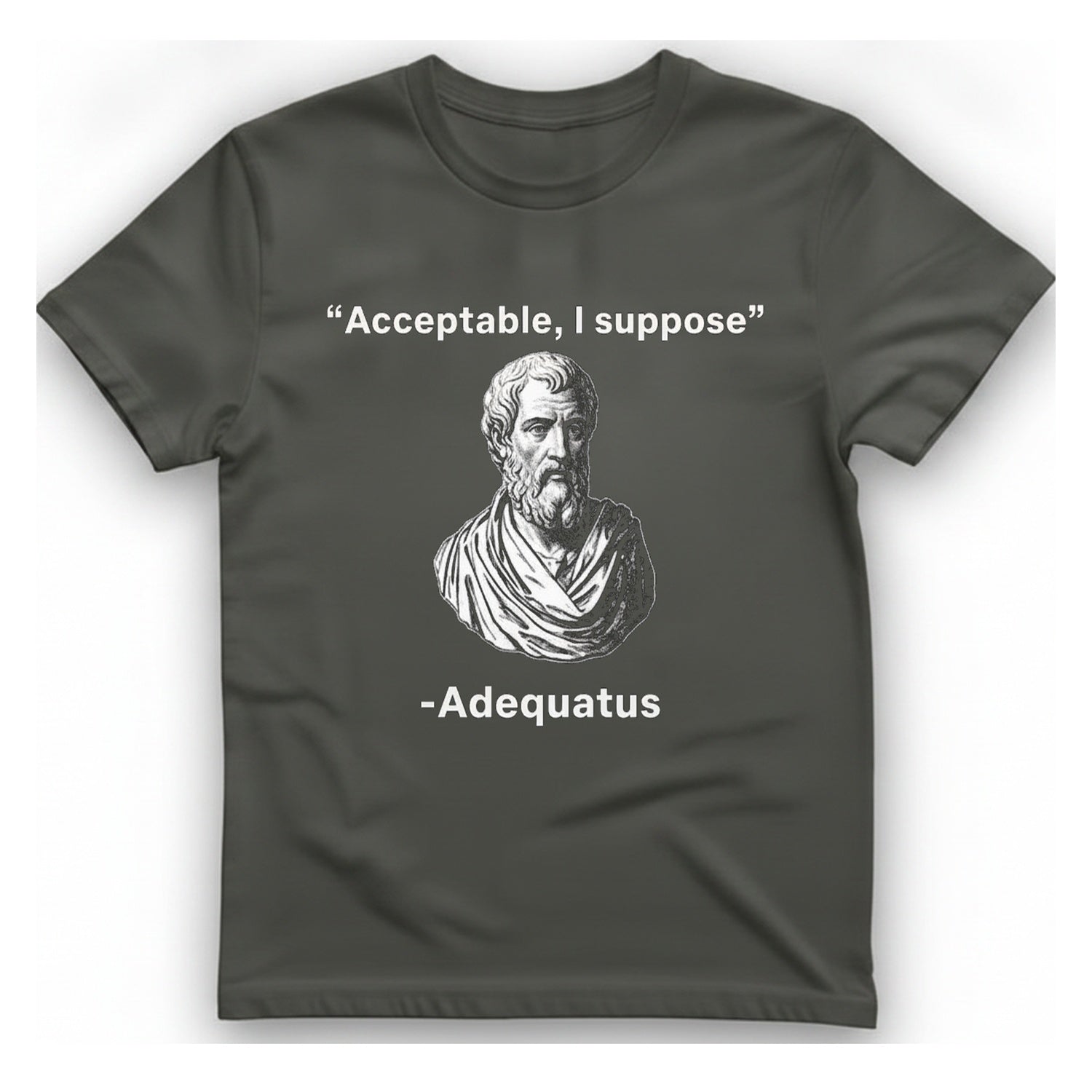 Acceptable I Suppose T-Shirt - Charcoal front