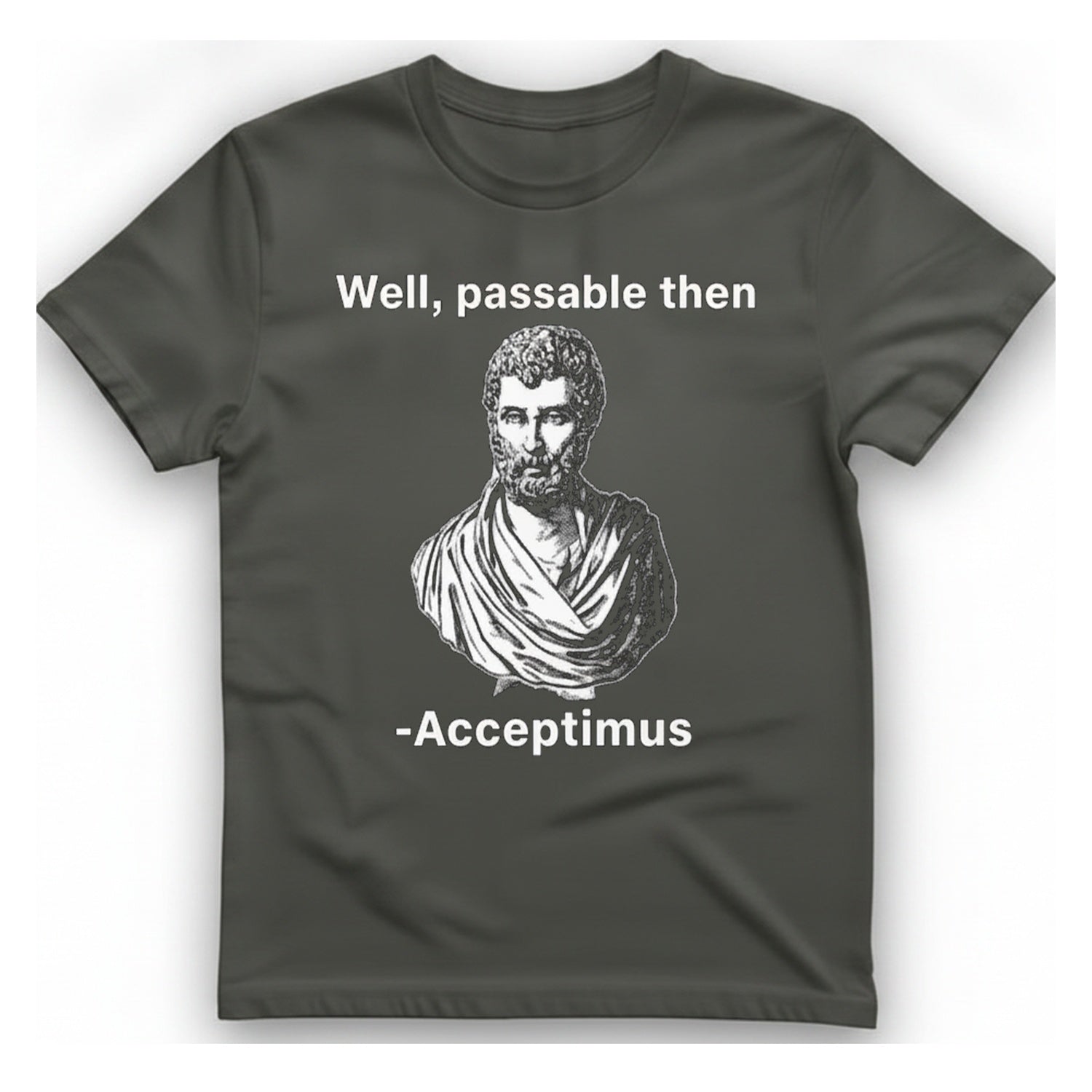Well Passable Acceptimus T-Shirt - Charcoal front