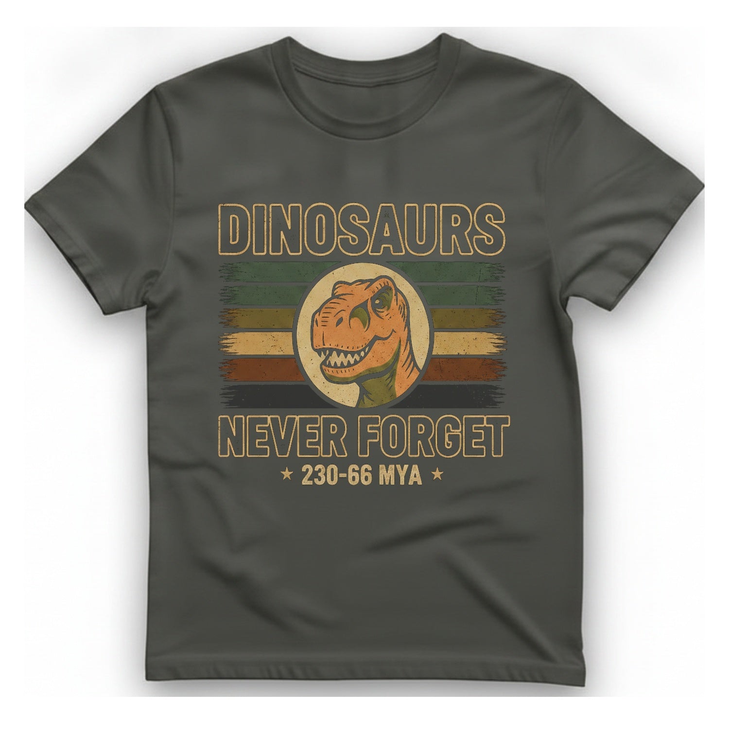Dinosaurs Never Forget T-Shirt - Charcoal front