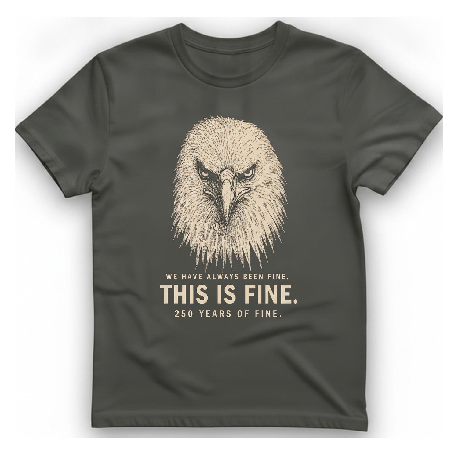 This Is Fine Eagle T-Shirt - Charcoal front