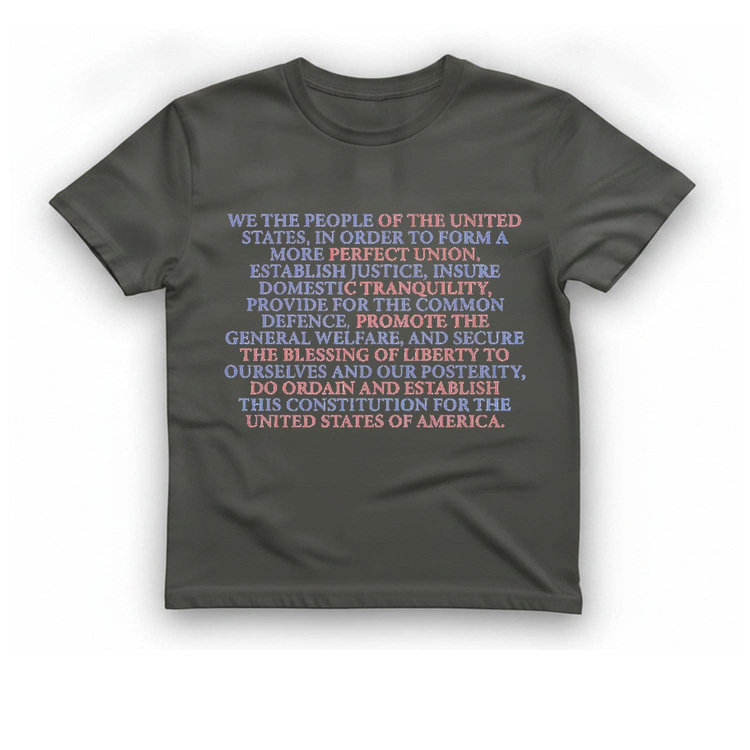 We The People T-Shirt - Charcoal front
