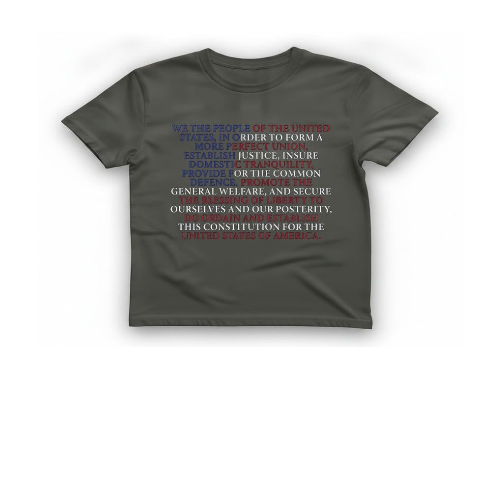 We The People T-Shirt - Charcoal front