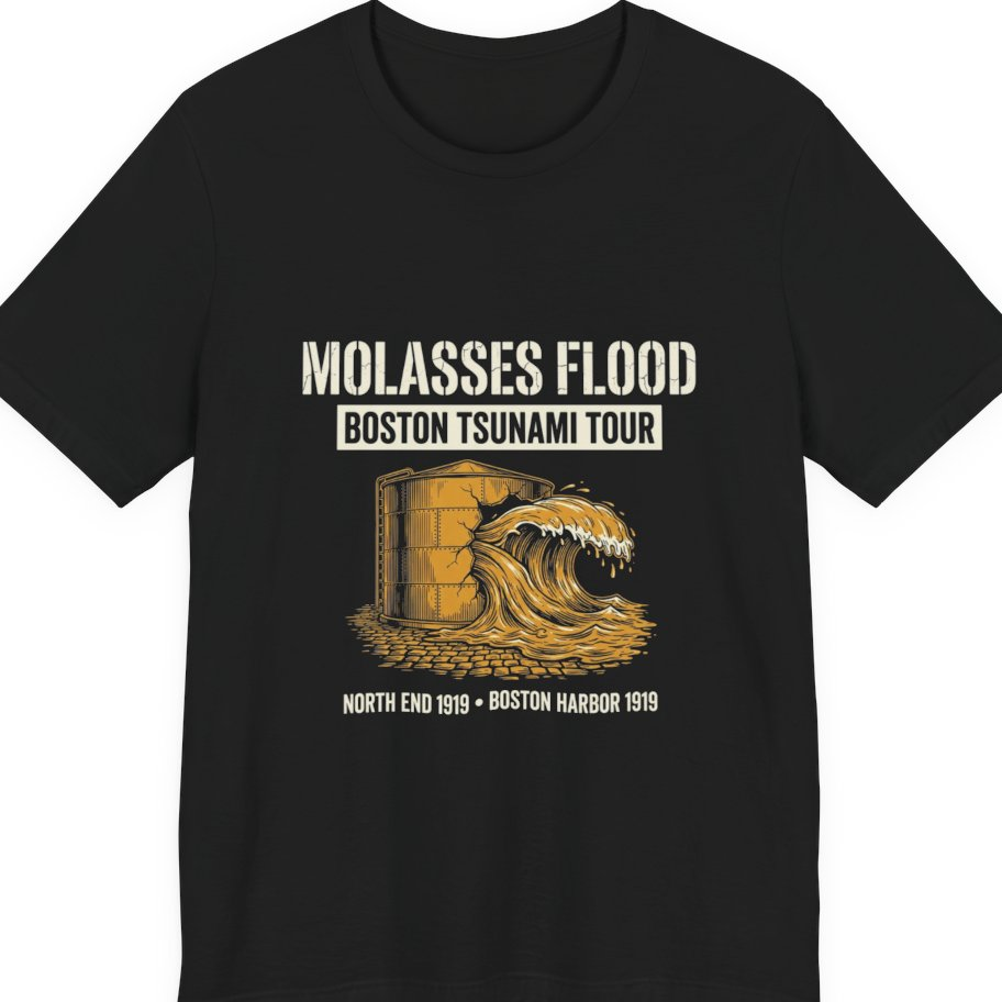 Boston Molasses Flood Tour Premium Tee - Black front