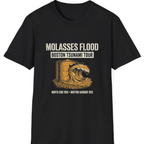 Boston Molasses Flood Tour T-Shirt - Black front
