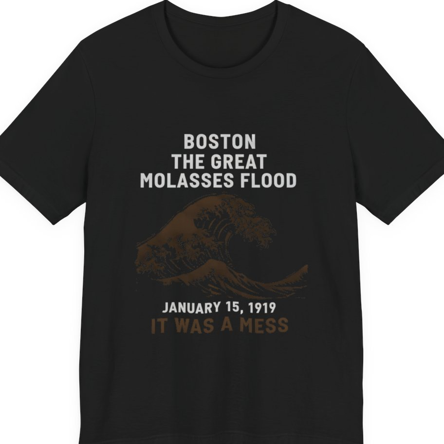 Boston The Great Molasses Flood Premium Tee - Black front