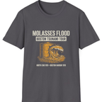 Boston Molasses Flood Tour T-Shirt - Charcoal front