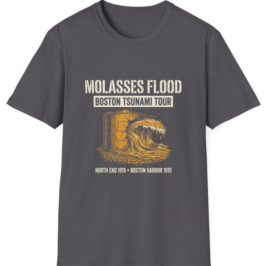 Boston Molasses Flood Tour T-Shirt - Charcoal front