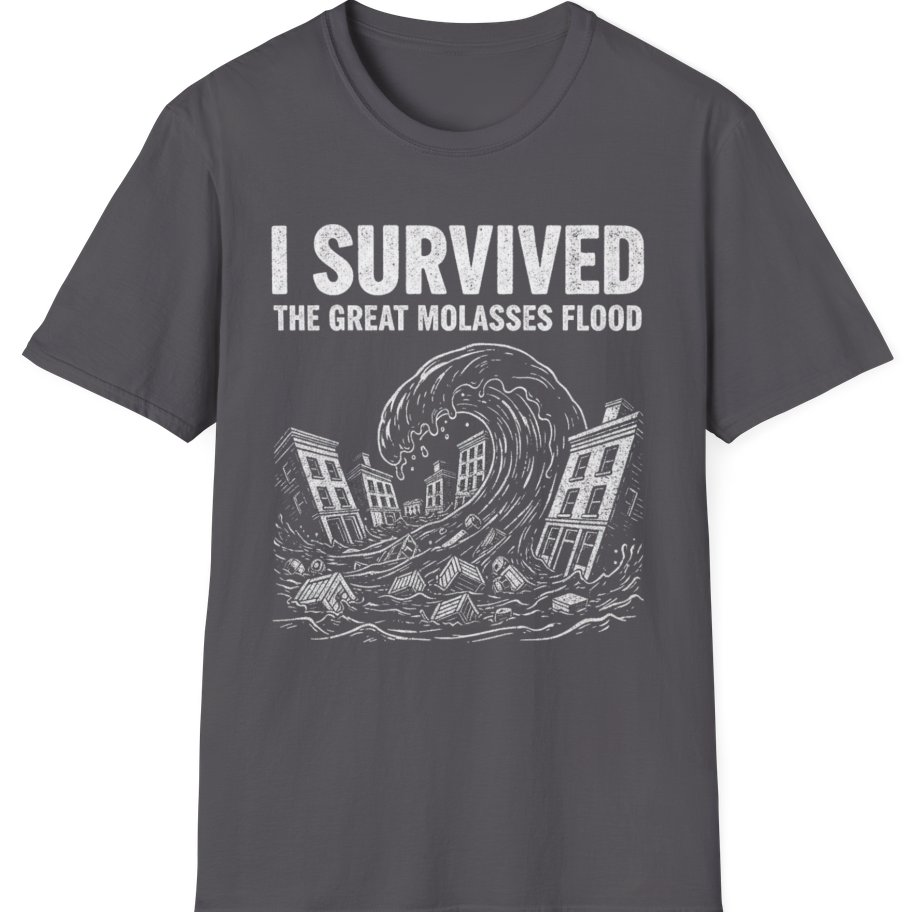 Great Molasses Flood T-Shirt - Charcoal front