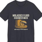 Boston Molasses Flood Tour Premium Tee - Heather Navy front