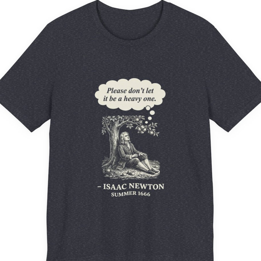 Newton Gravity Anxiety Premium Tee - Heather Navy front