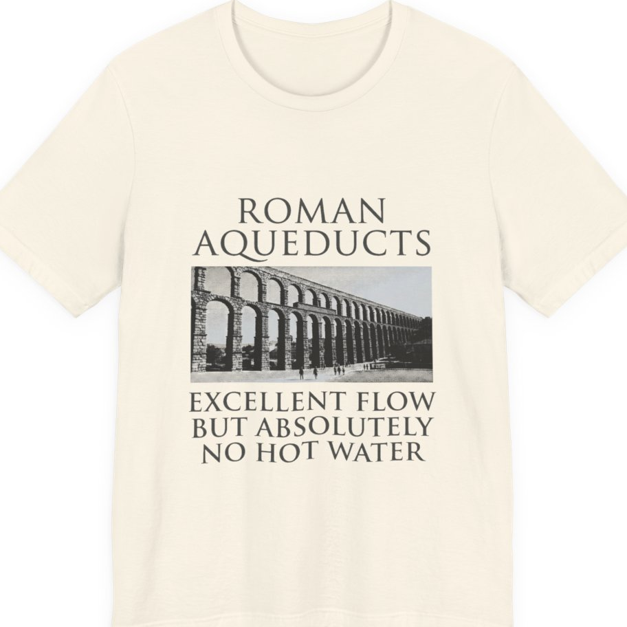 Roman Aqueducts Service Review Premium Tee - Natural front