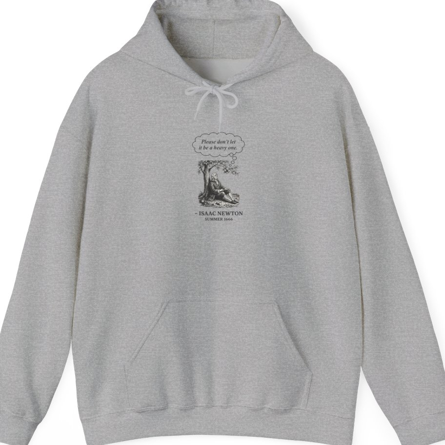 Newton Gravity Anxiety Hoodie - Sport Grey front