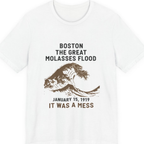 Boston The Great Molasses Flood Premium Tee - White front