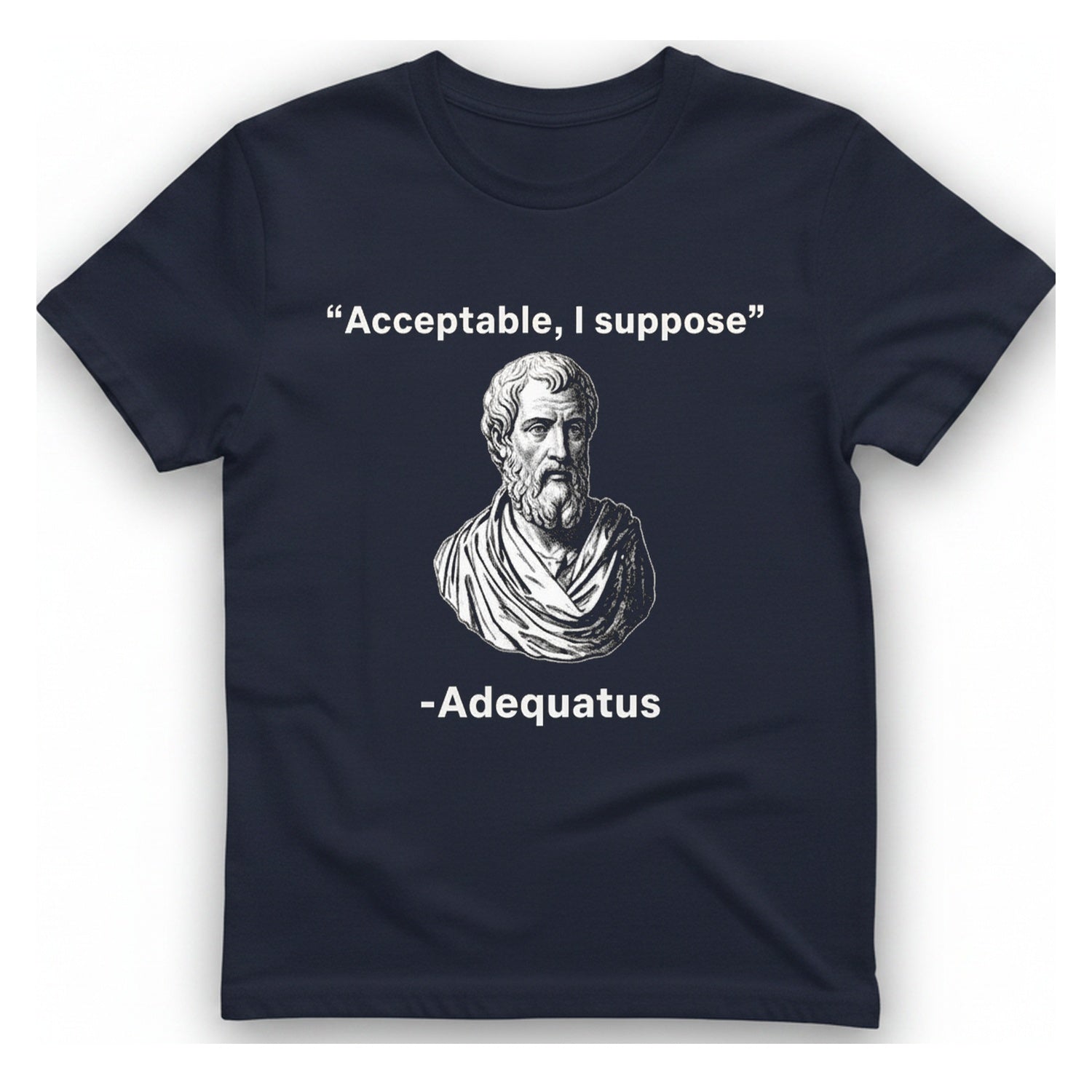 Acceptable I Suppose T-Shirt - Heather Navy front