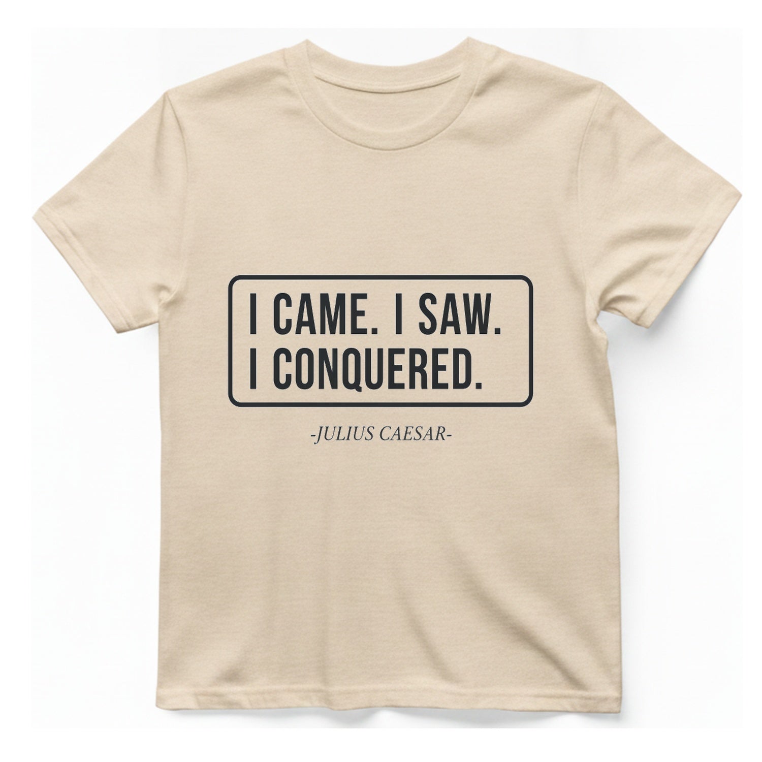 I Came I Saw I T-Shirt - Natural front