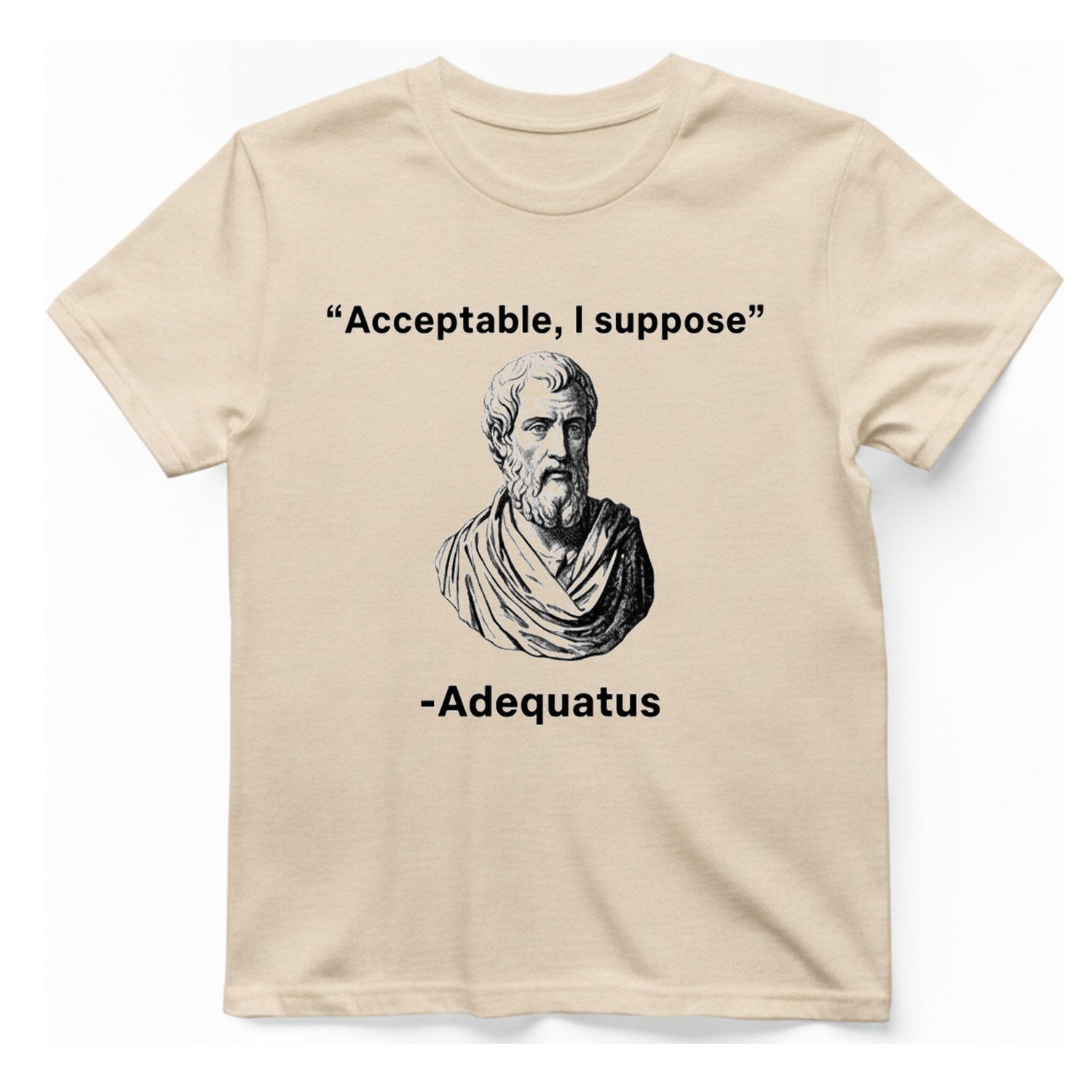 Acceptable I Suppose T-Shirt - Natural front