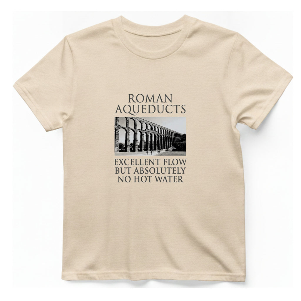 Roman Aqueducts Service Review T-Shirt - Natural front