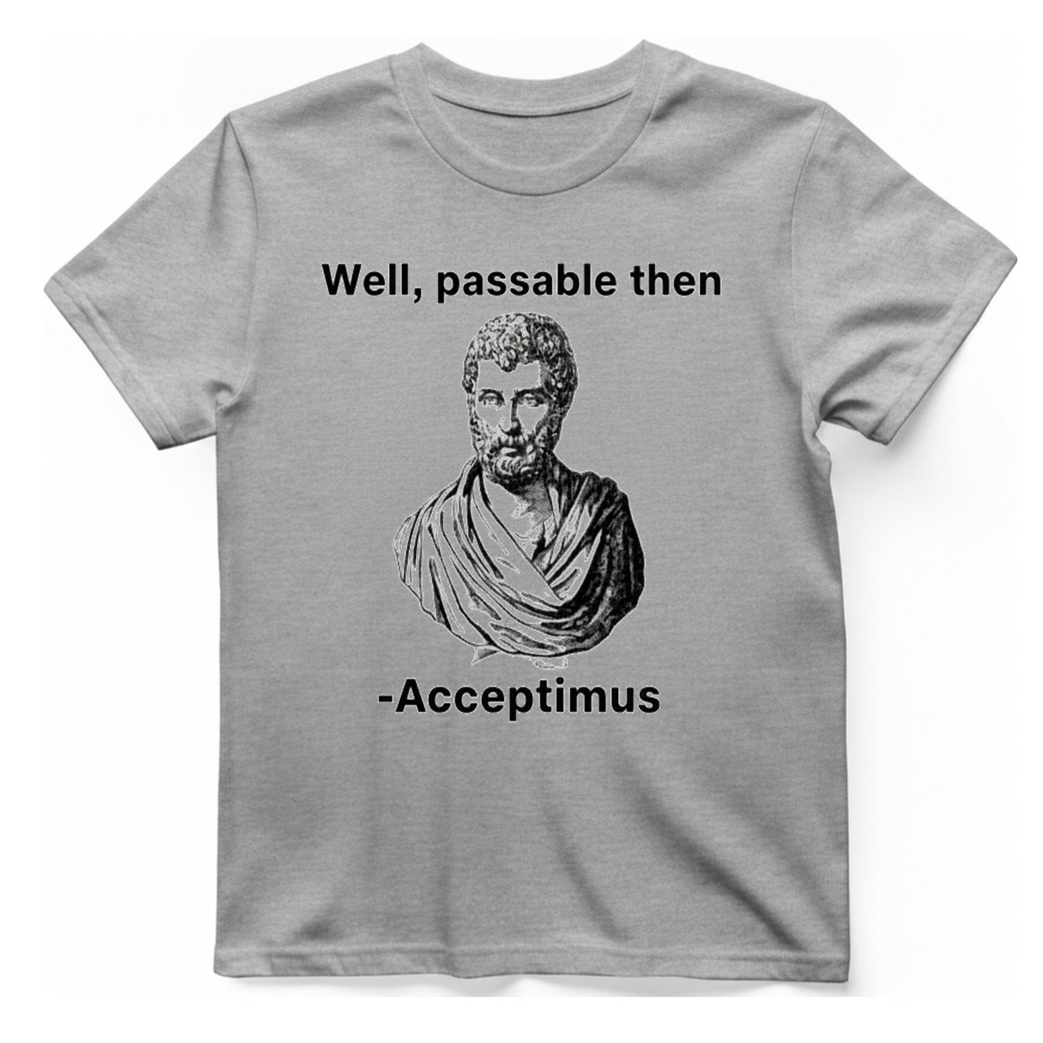 Well Passable Acceptimus T-Shirt - Sport Grey front
