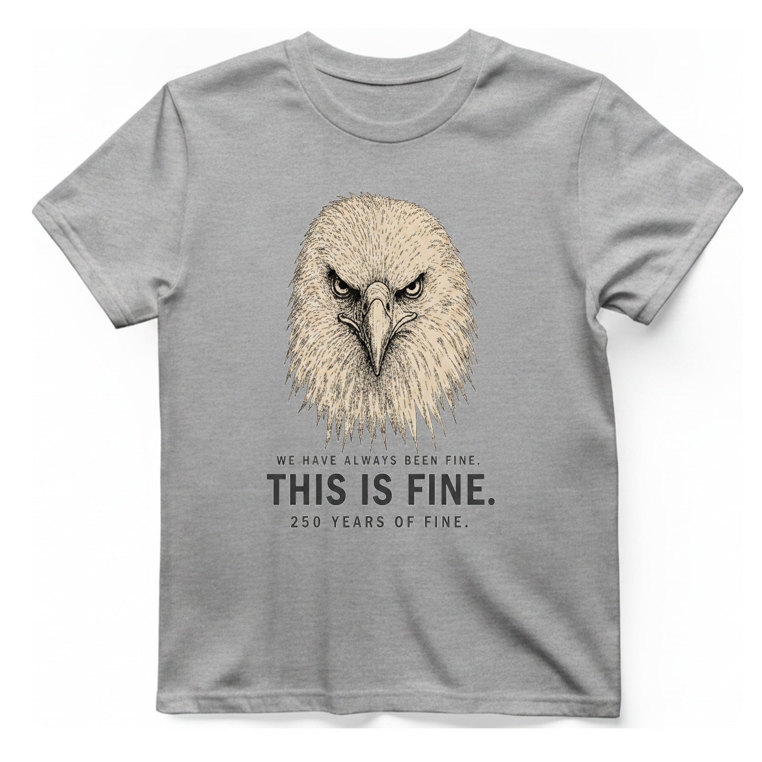 This Is Fine Eagle T-Shirt - Sport Grey front