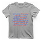 United States Constitution T-Shirt - Sport Grey front