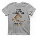 Boston The Great Molasses Flood T-Shirt - Sport Grey front