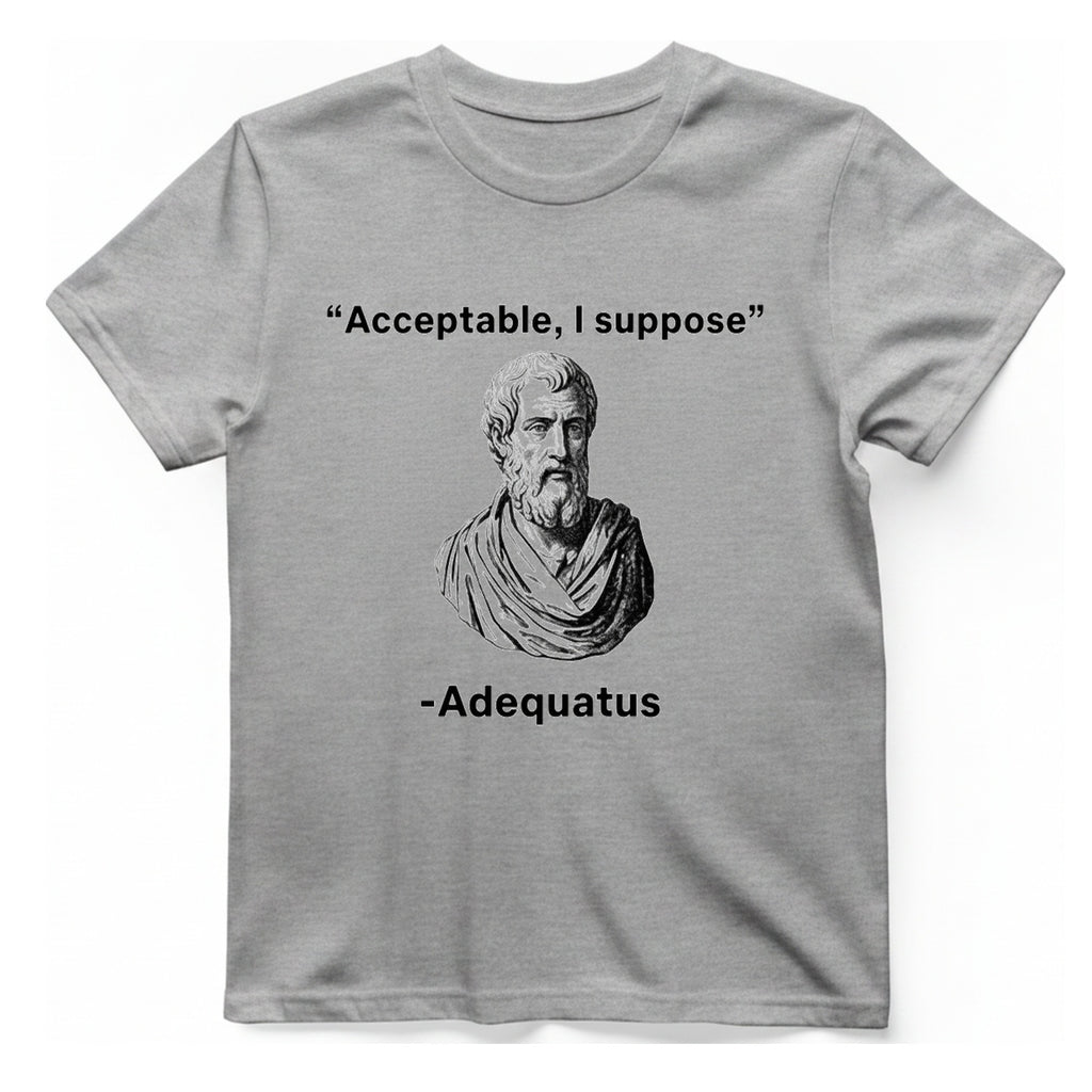Acceptable I Suppose T-Shirt - Sport Grey front