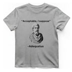 Acceptable I Suppose T-Shirt - Sport Grey front